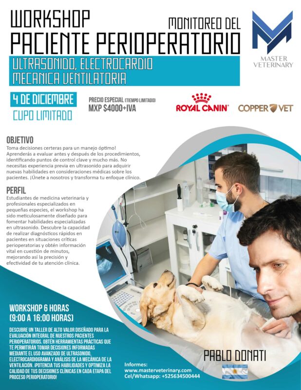 Workshop paciente perioperatorio