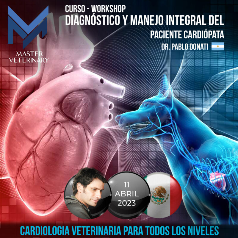 Cardiología veterinaria para todos