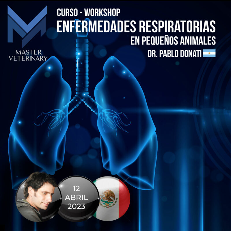 Curso Práctico Workshop Enfermedades Respiratorias en Caninos y Felinos