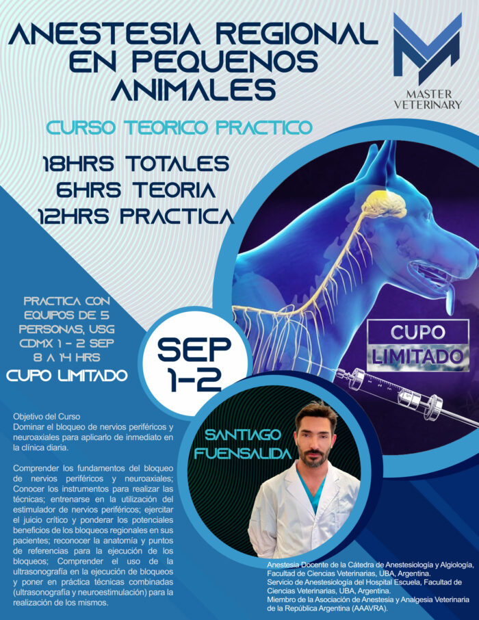 Curso Teorico practico Anestesia regional en pequeños animales