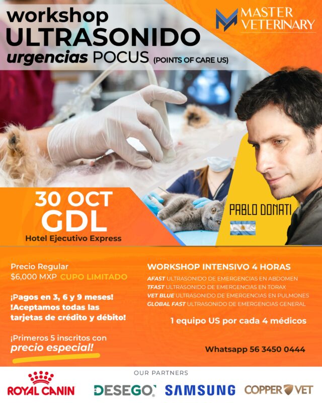 Workshop Ultrasonido urgencias POCUS Guadalajara