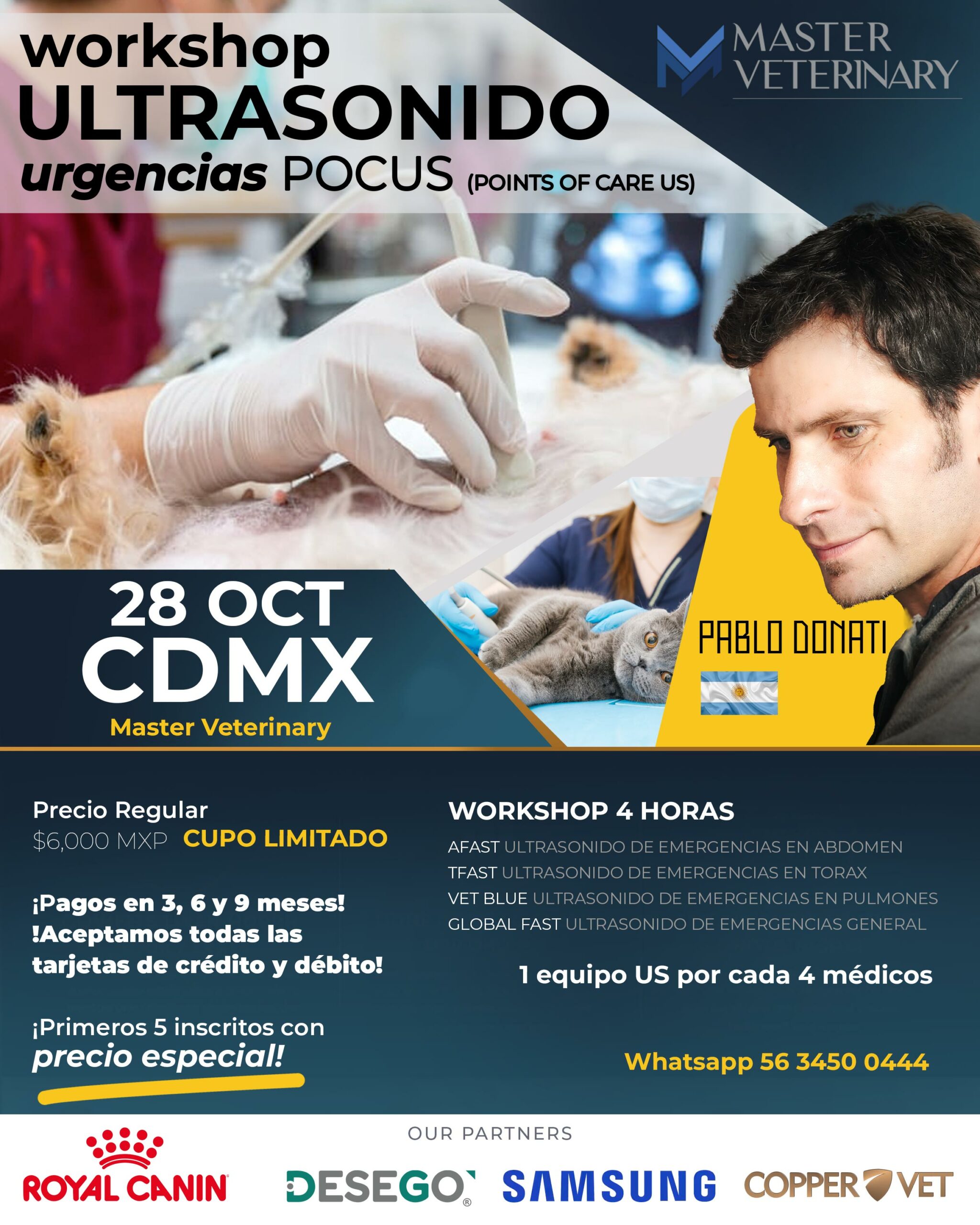 Workshop Ultrasonido urgencias POCUS