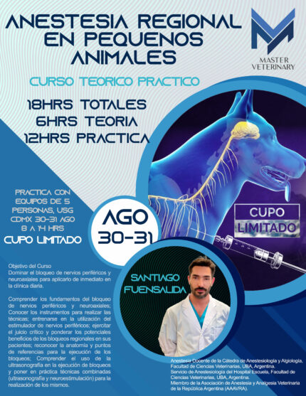 Curso Teorico practico Anestesia regional en pequeños animales