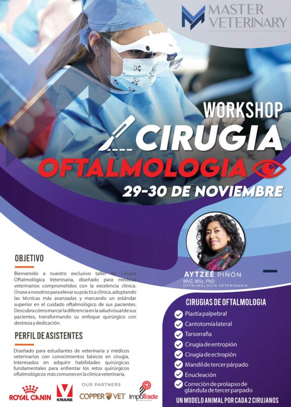 Workshop cirugia Oftalmo