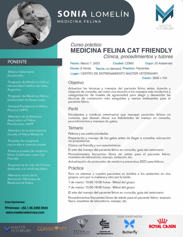 Curso Practico de manejo Cat Friendly Medicina Felina