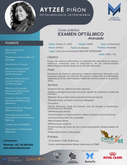 CURSO PRACTICO EXAMEN OFTALMOLOGICO VETERINARIO MEXICO