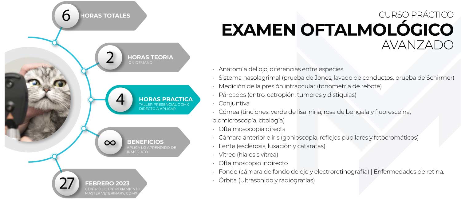 CURSO PRACTICO EXAMEN OFTALMOLOGICO VETERINARIO MEXICO