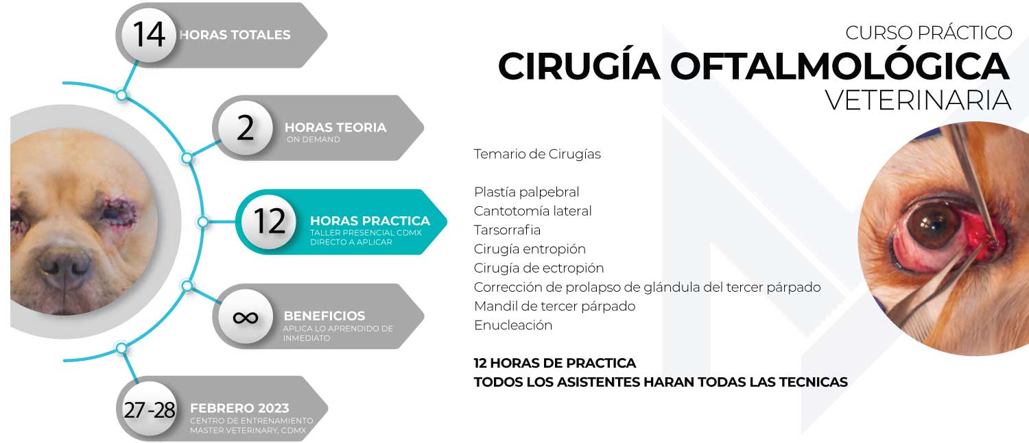 CURSO PRACTICO CIRUGIA OFTALMICA VETERINARIA MEXICO