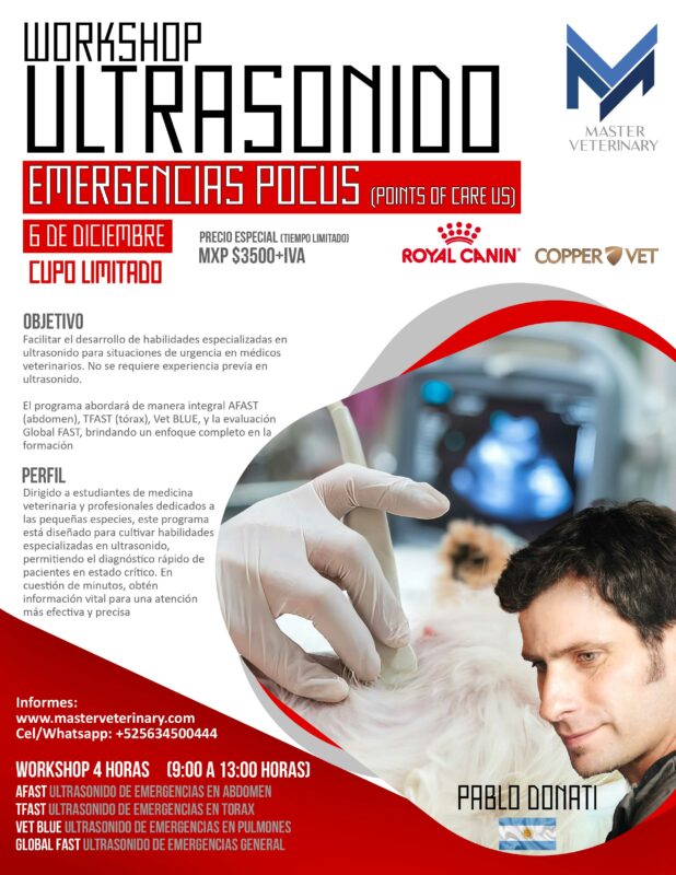 Workshop Ultrasonido Pocus