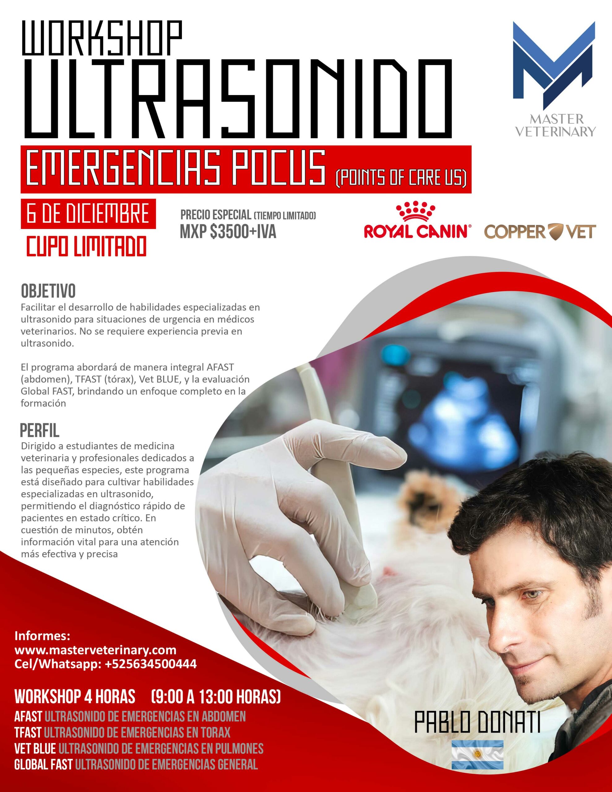 Workshop Ultrasonido Pocus