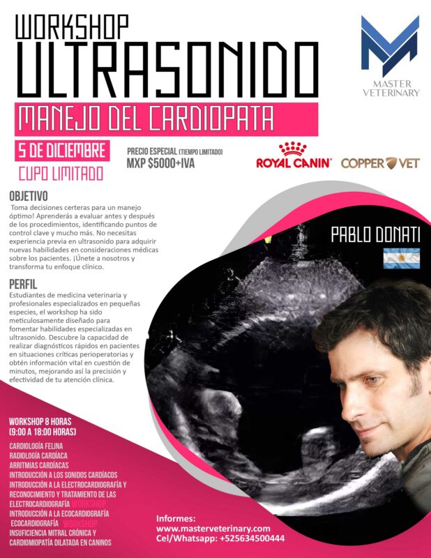 Workshop cardiopata