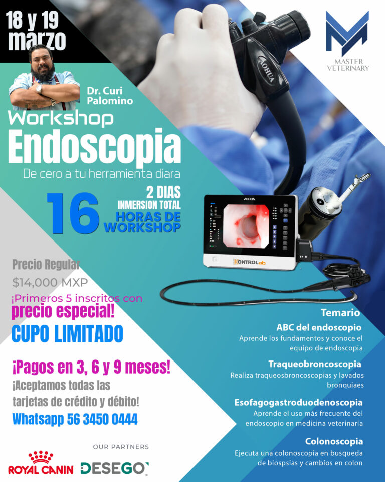 2025-Endocopia veterinaria