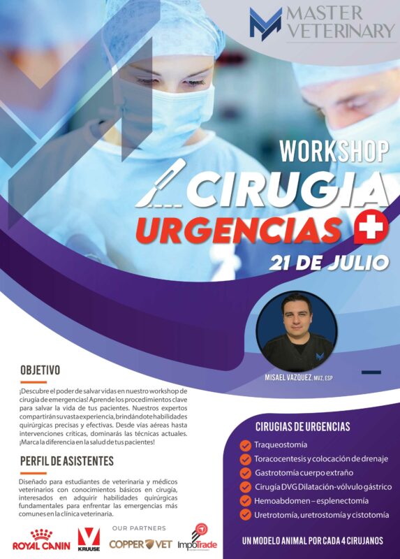 workshop CIRUGIA URGENCIAS