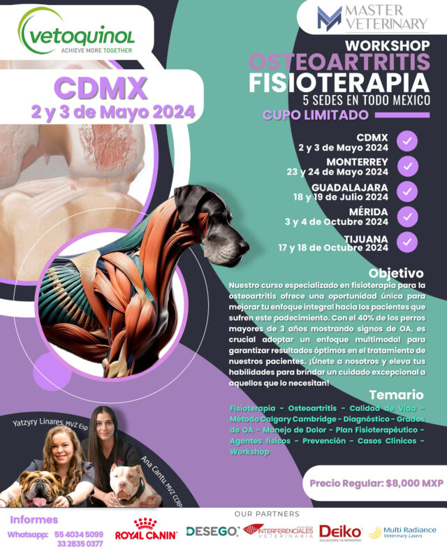 Workshop Fisioterapia Osteoartrits