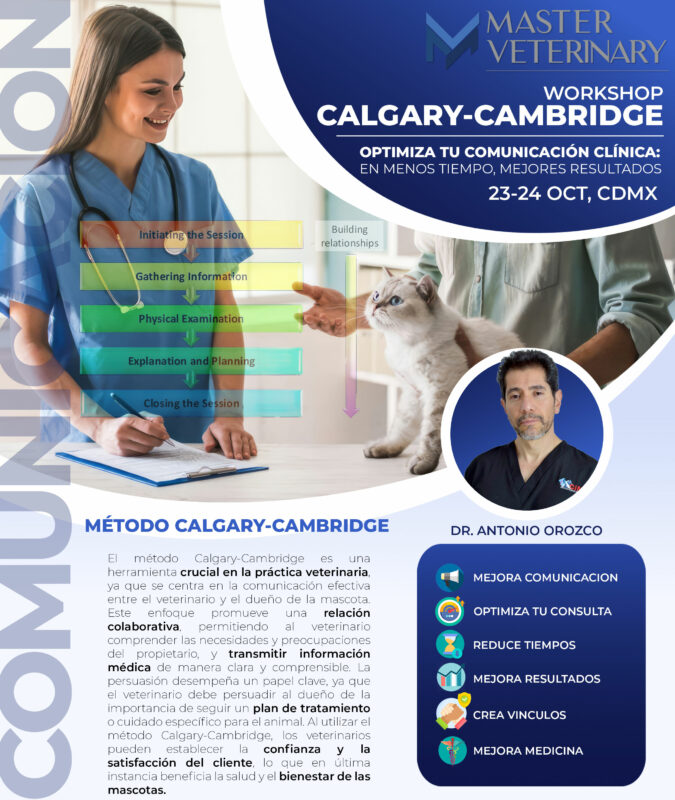 Curso de Calgary Cambdridge