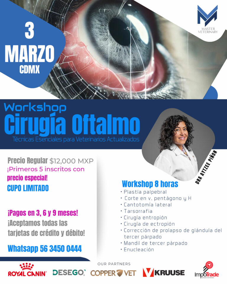 Workshop Cirugia Oftalmologia