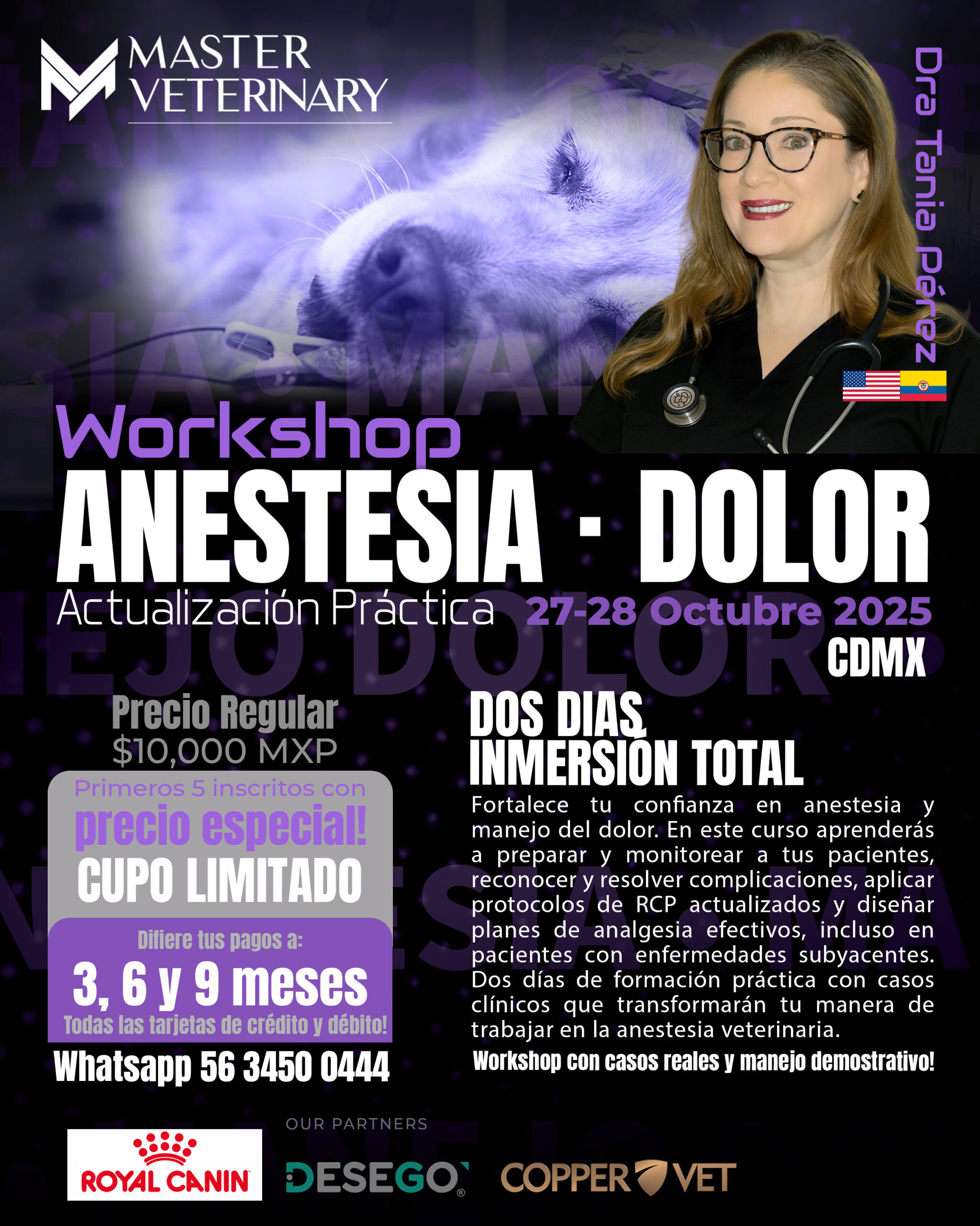 workshop anestesia y analgesia