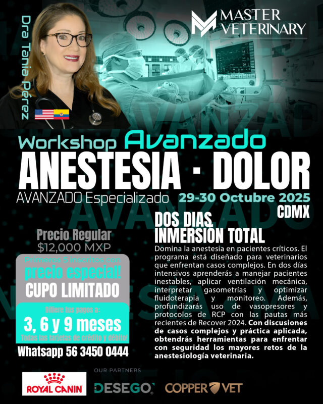 Workshop Anestesia Dolor Avanzados