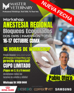 16-17 octubre 2025 | Workshop Anestesia Regional Bloqueos Ecoguiados | Dr. Pablo Otero | México, CDMX