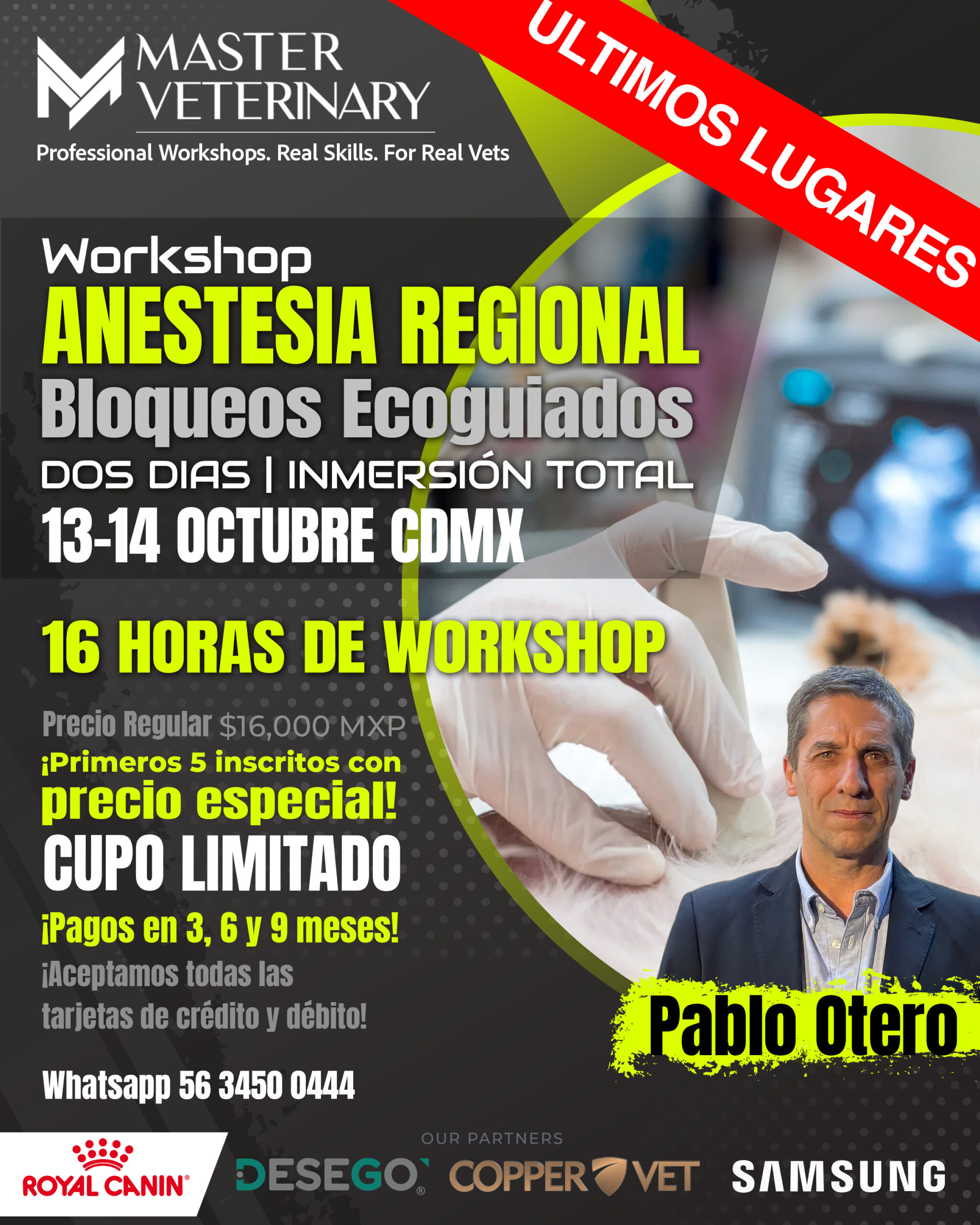 Workshop Anestesia Regional Bloqueos Ecoguiados